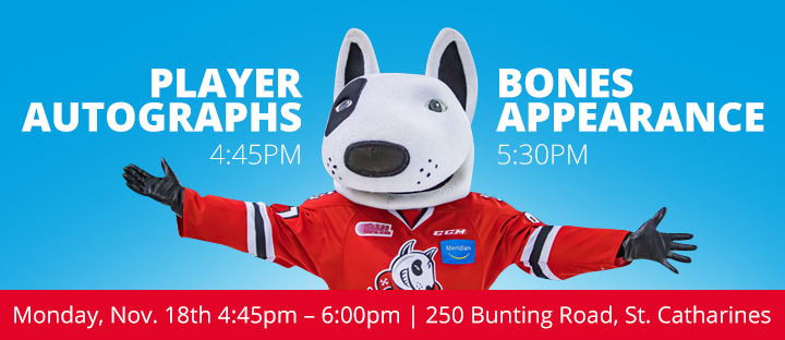 Niagara IceDogs Event